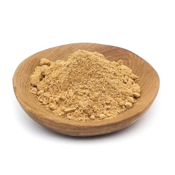 Lions Mane Mushroom Powder ORGANIC