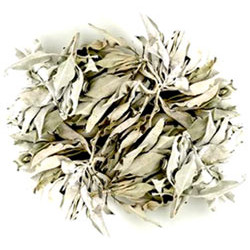 White Sage Quality loose White sage USA 10g
